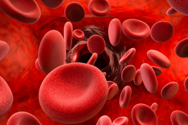 Together Hematología