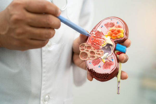 Together Nefrología